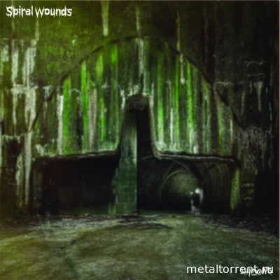 Spiral Wounds - Shadows (2022)