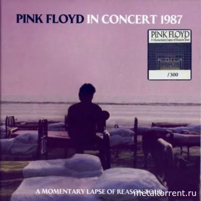 Pink Floyd - In Concert 1987 (2022)