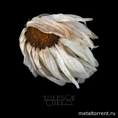 Tales of Ojela - Lapse Of Collapse (2022)