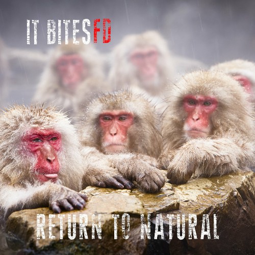 It Bites FD - Return To Natural (2024) MP3